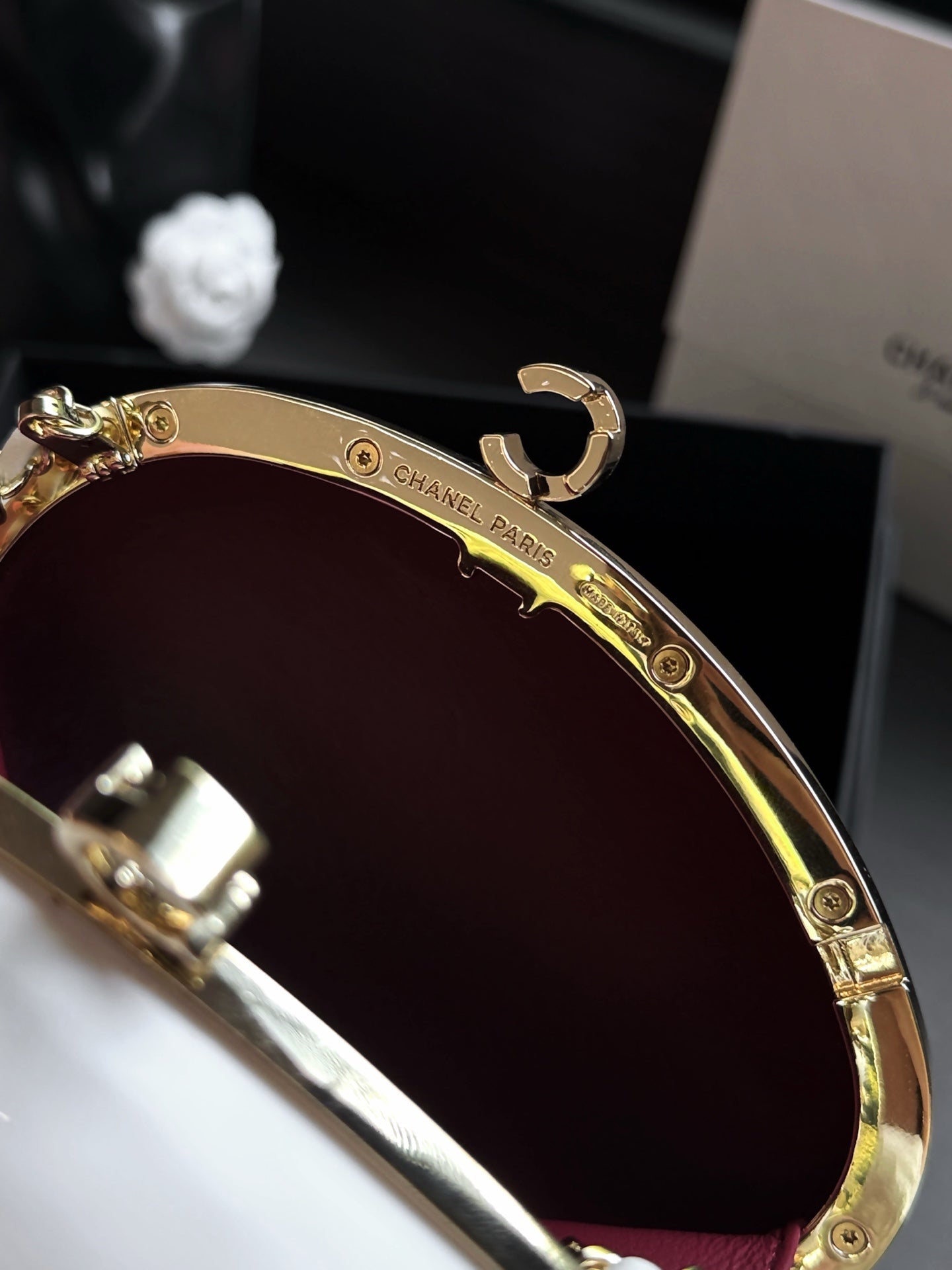 Chanel Oval Constellation Bag - Limited Edition