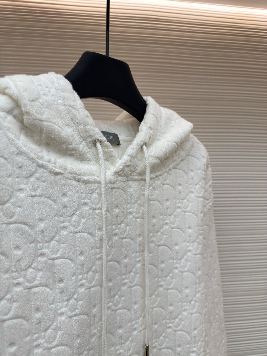 Dior Oblique All Letter hoodie