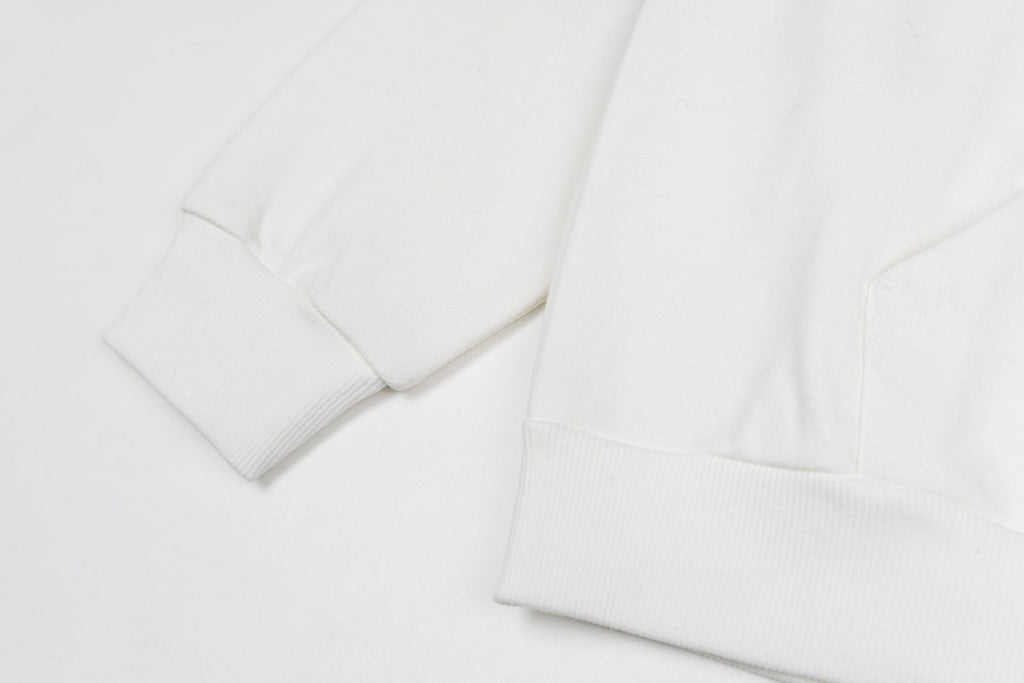 Dior embroidered Hoodie