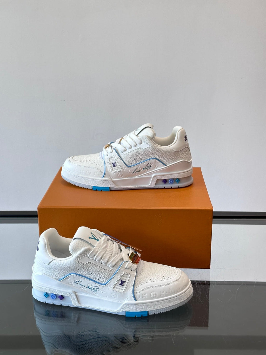 LV Trainers shoes
