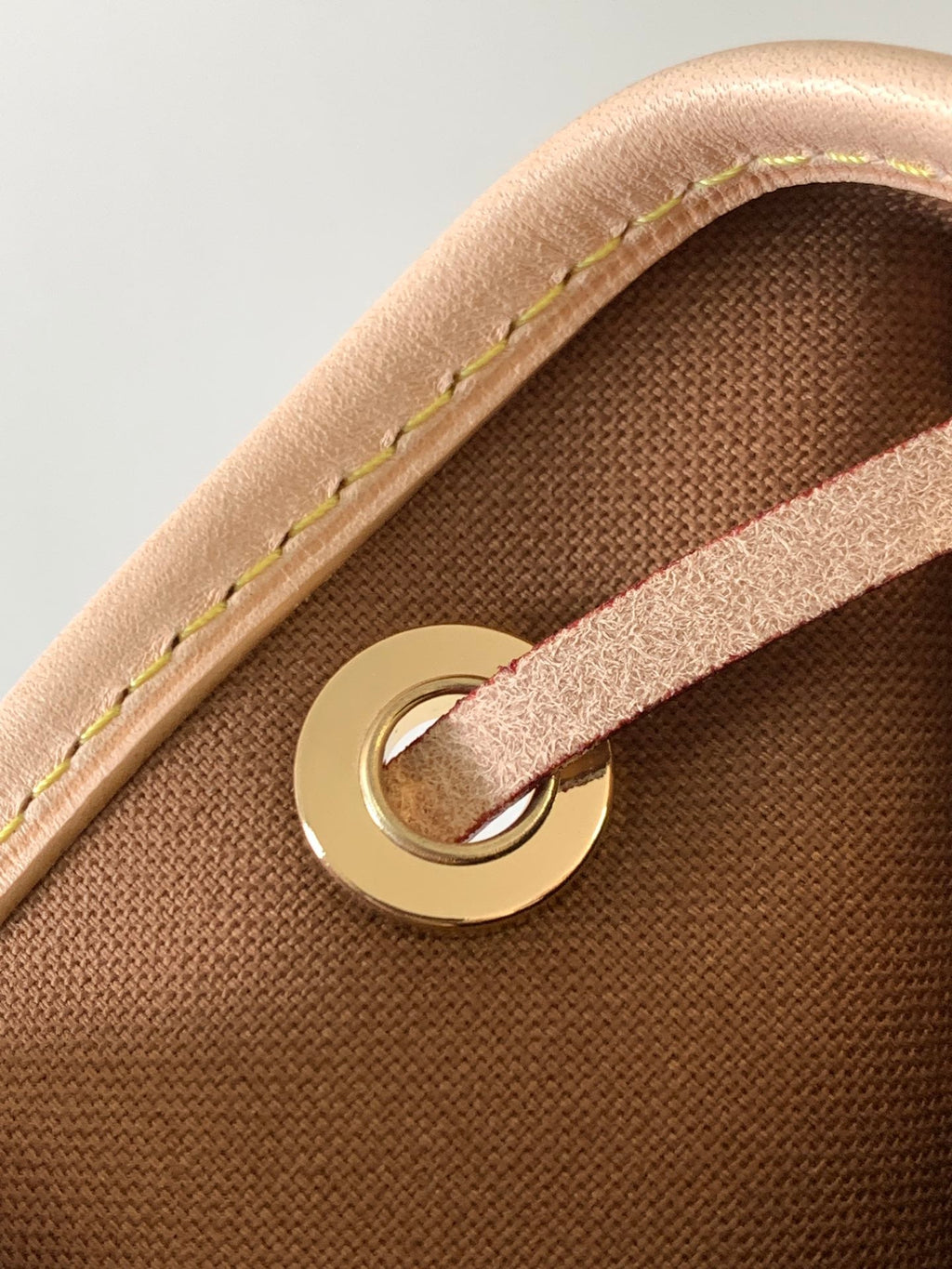 LV Noé Bucket Bag