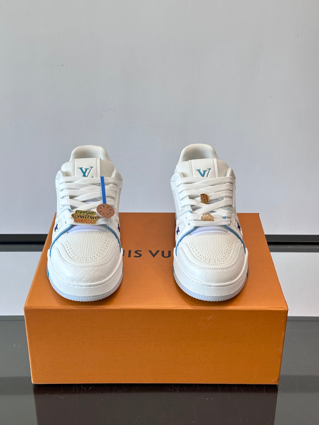 LV Trainers shoes