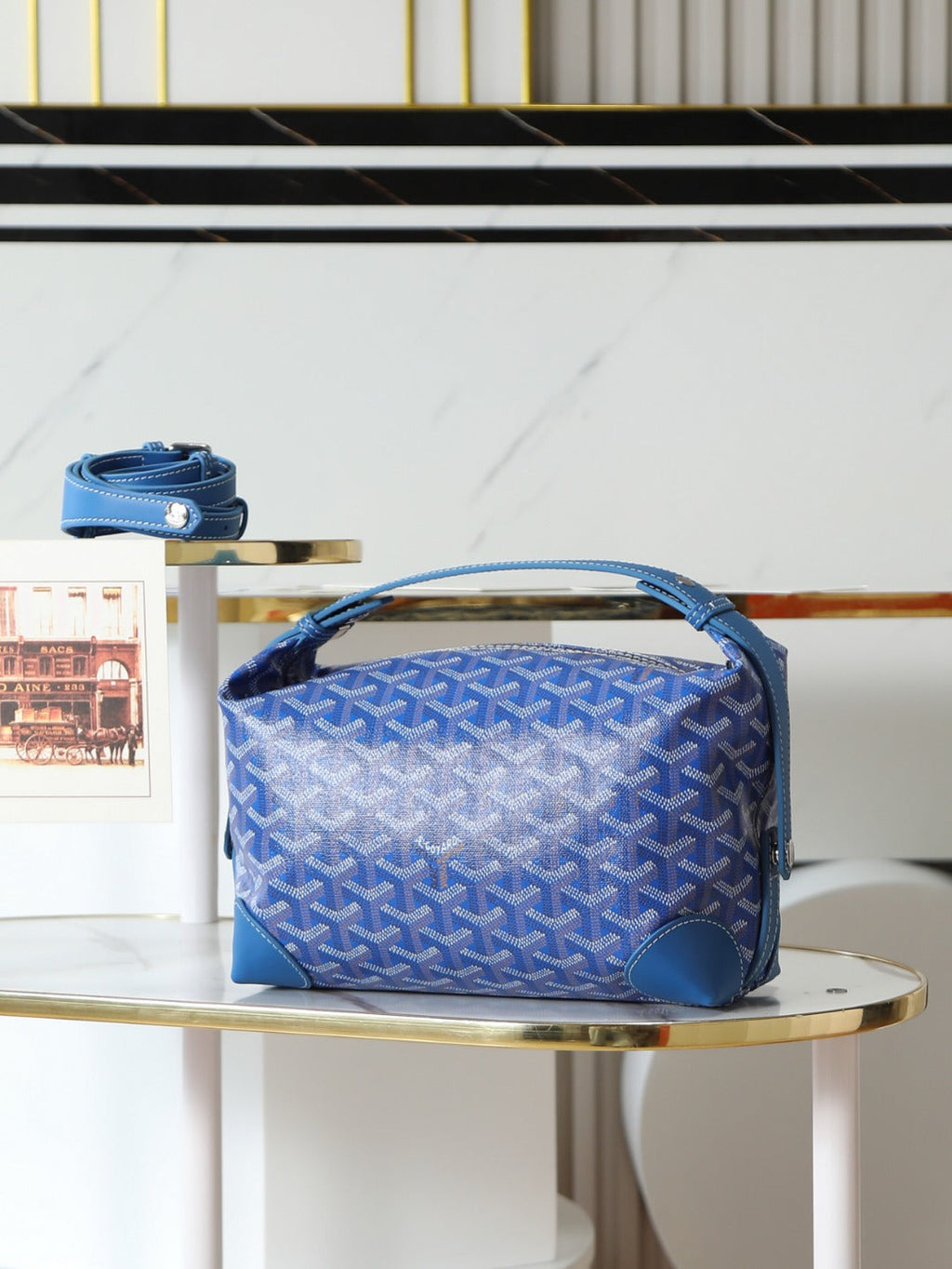 Goyard Toiletry Bag