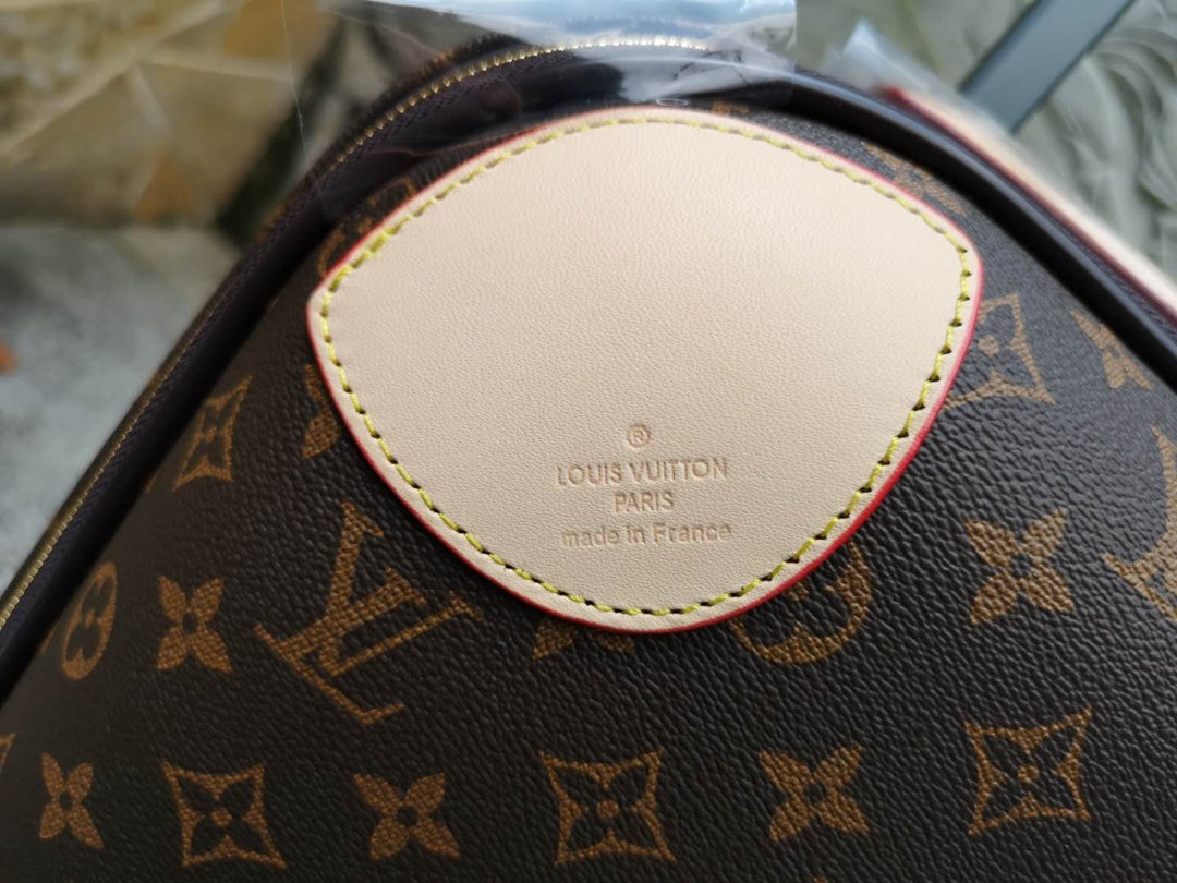 LV  Suitcase