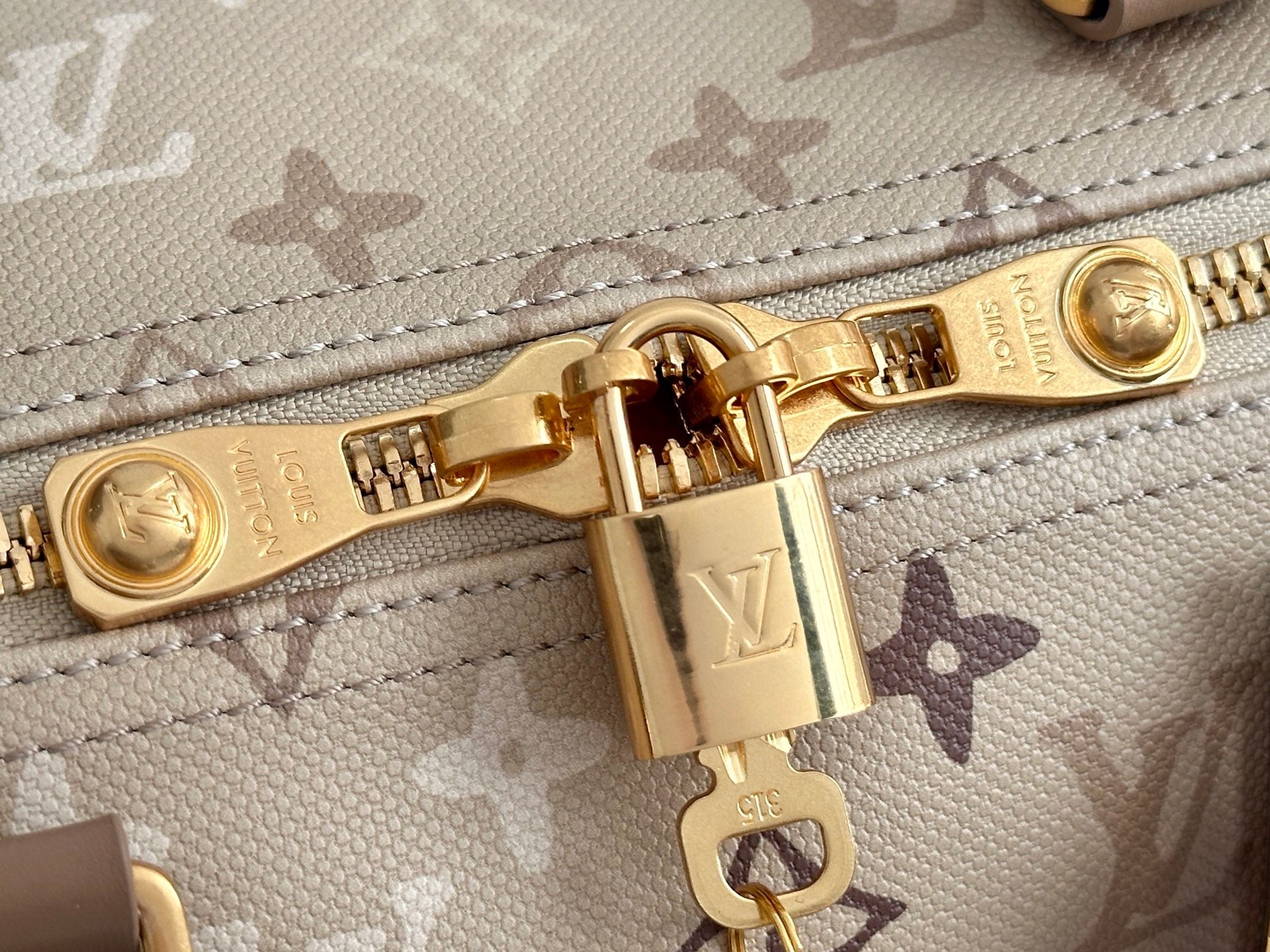 LV 50 Travel Bag