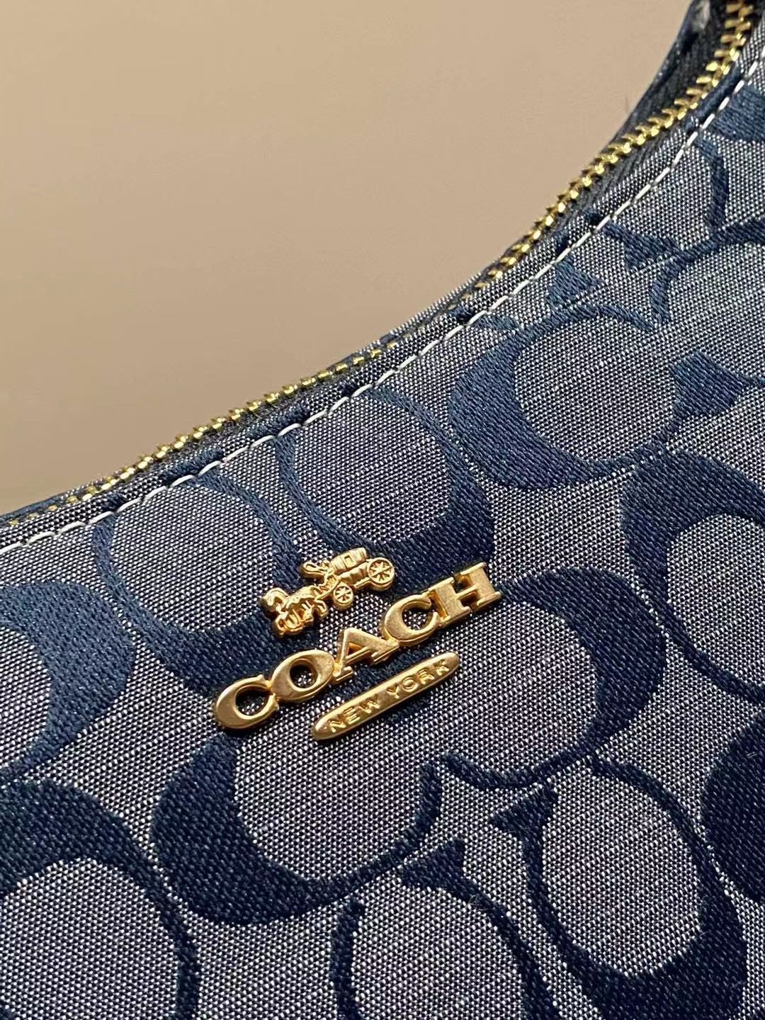 Coach Teri Bag