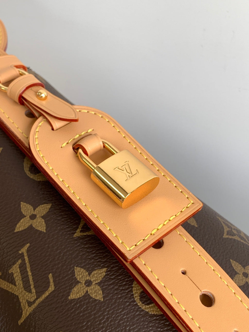 LV Tote Bag