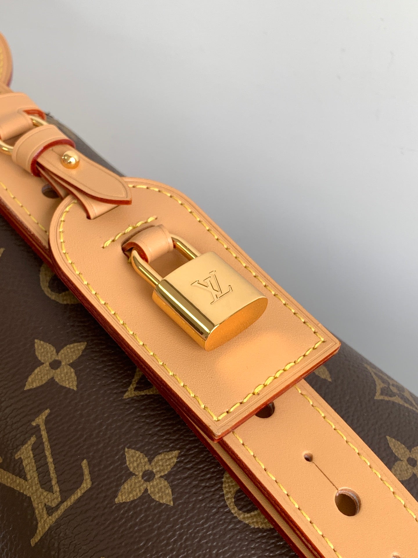 LV Tote Bag