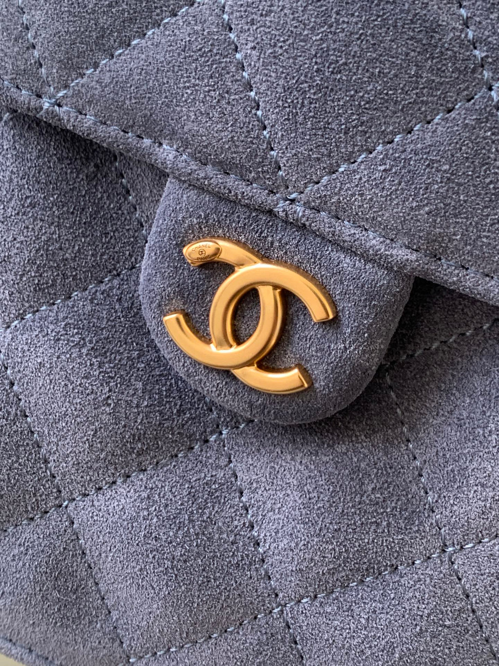 Chanel Bag with frosted Leather