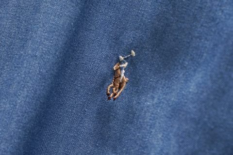 Polo Ralph Lauren Denim Shirt/Jacket