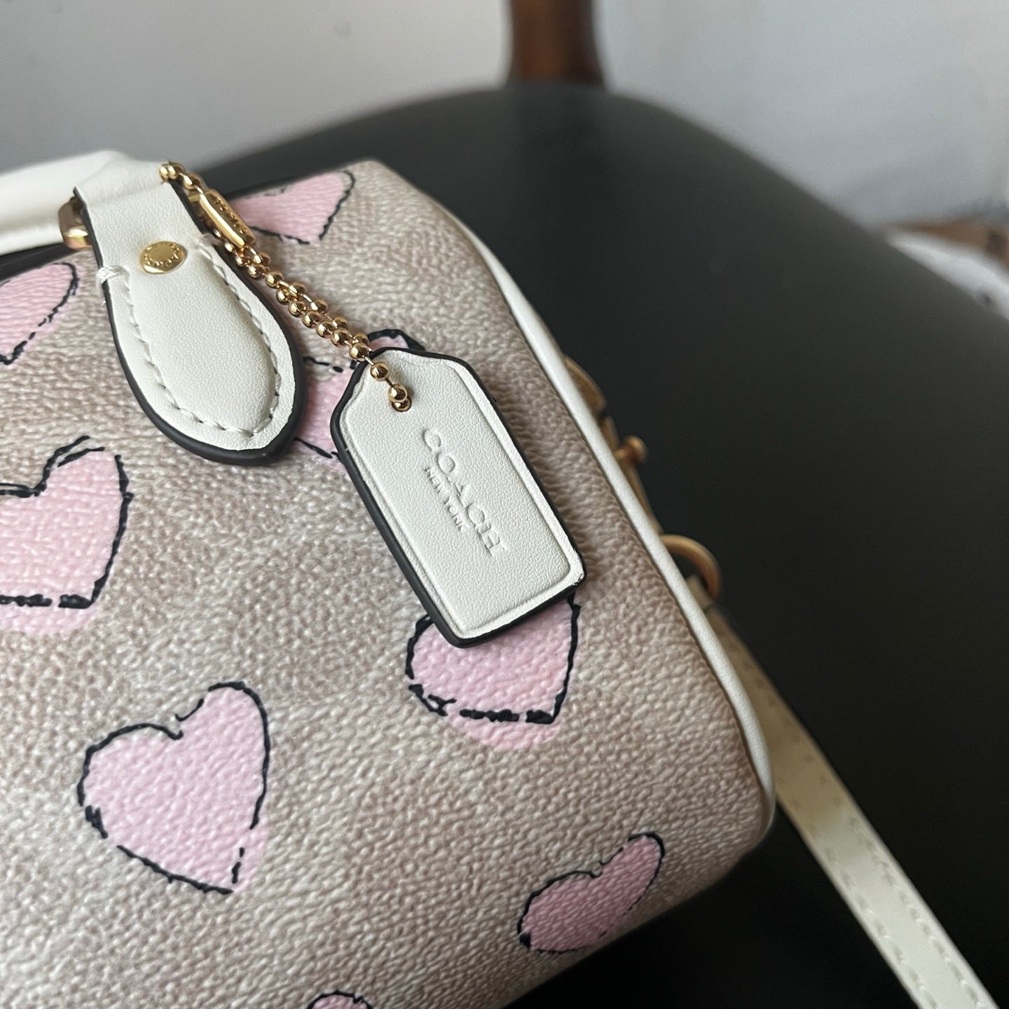 Coach Mino Pillow bag