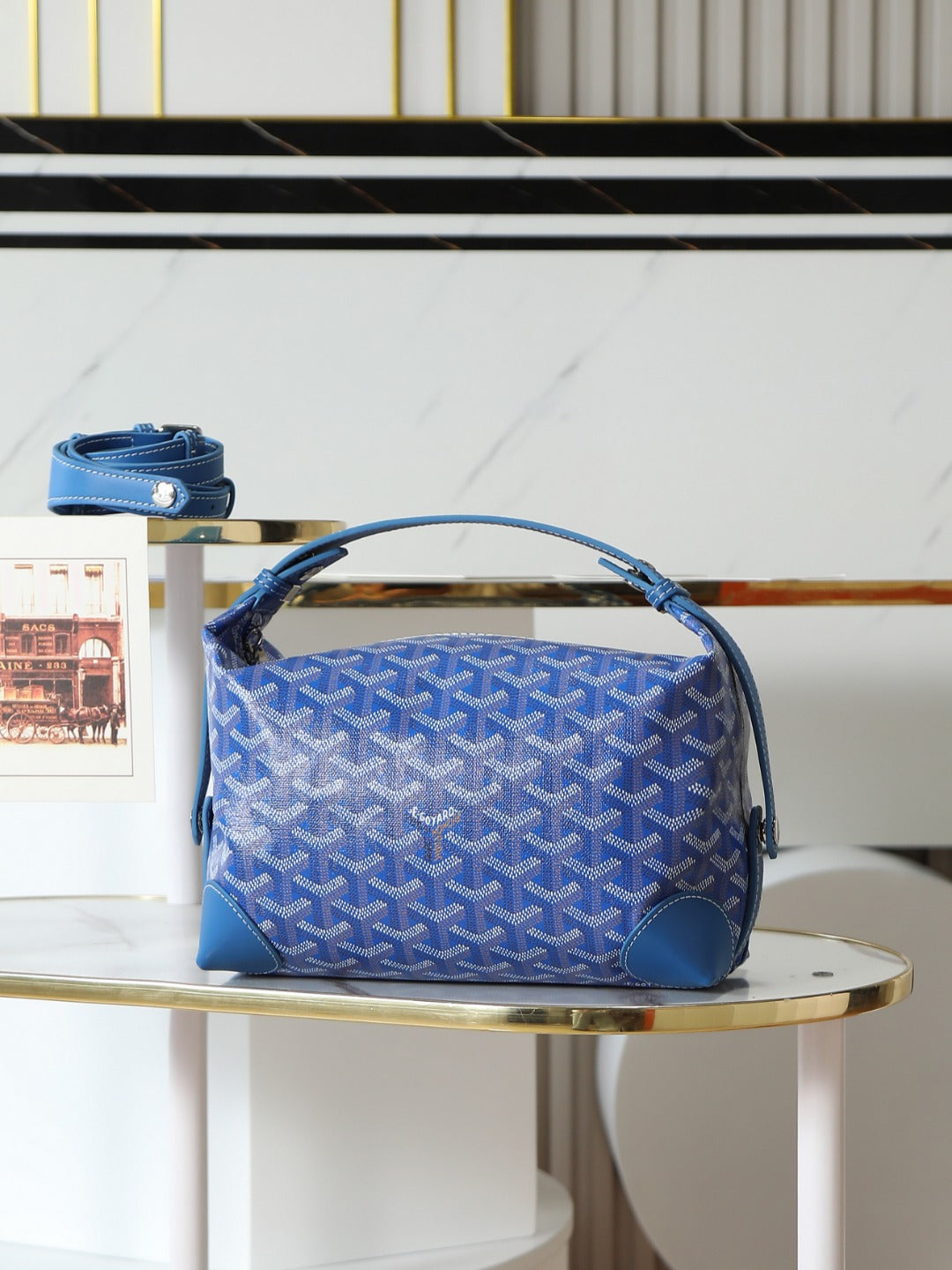 Goyard Toiletry Bag