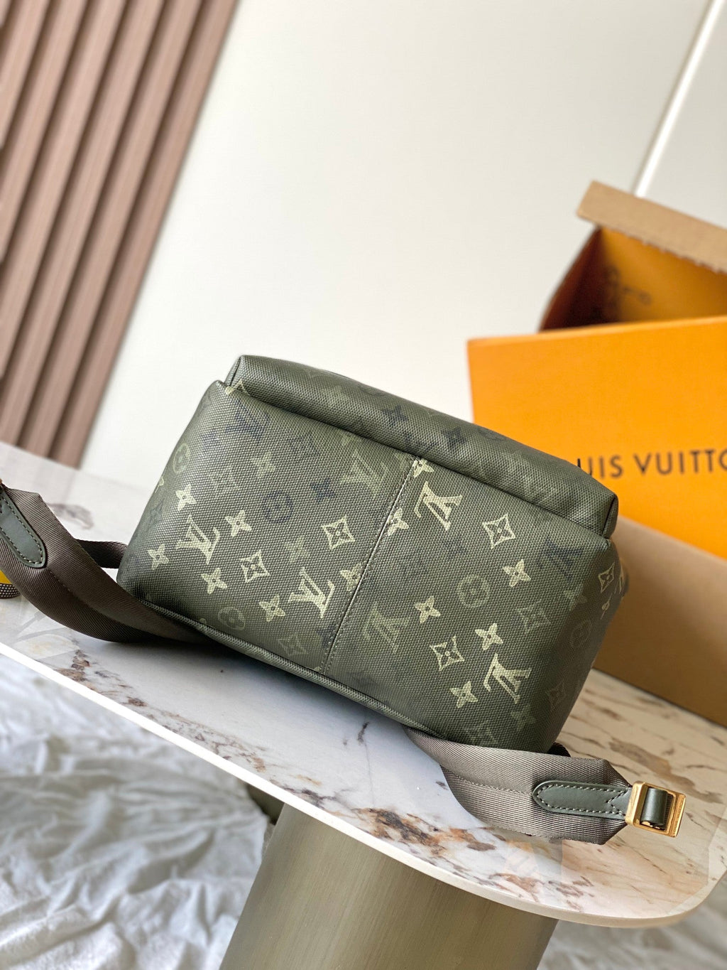 LV Backpack