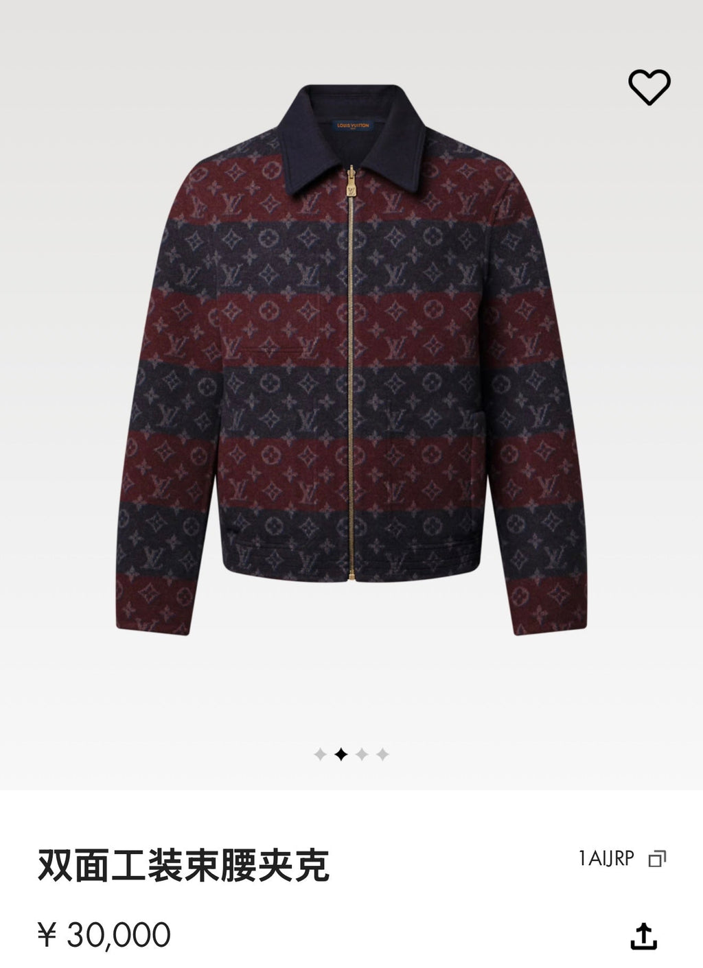 LV Reversible Jacket