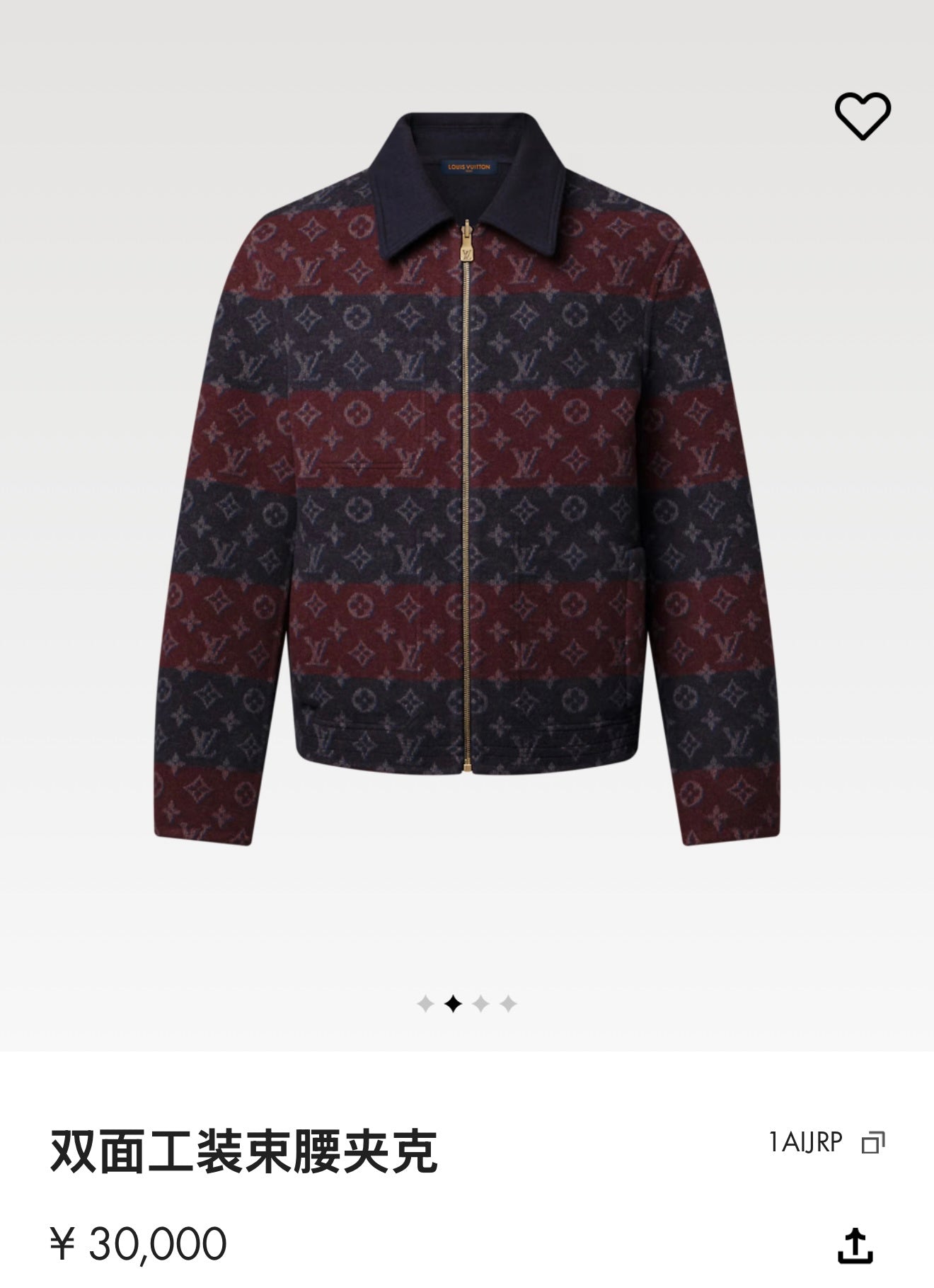 LV Reversible Jacket